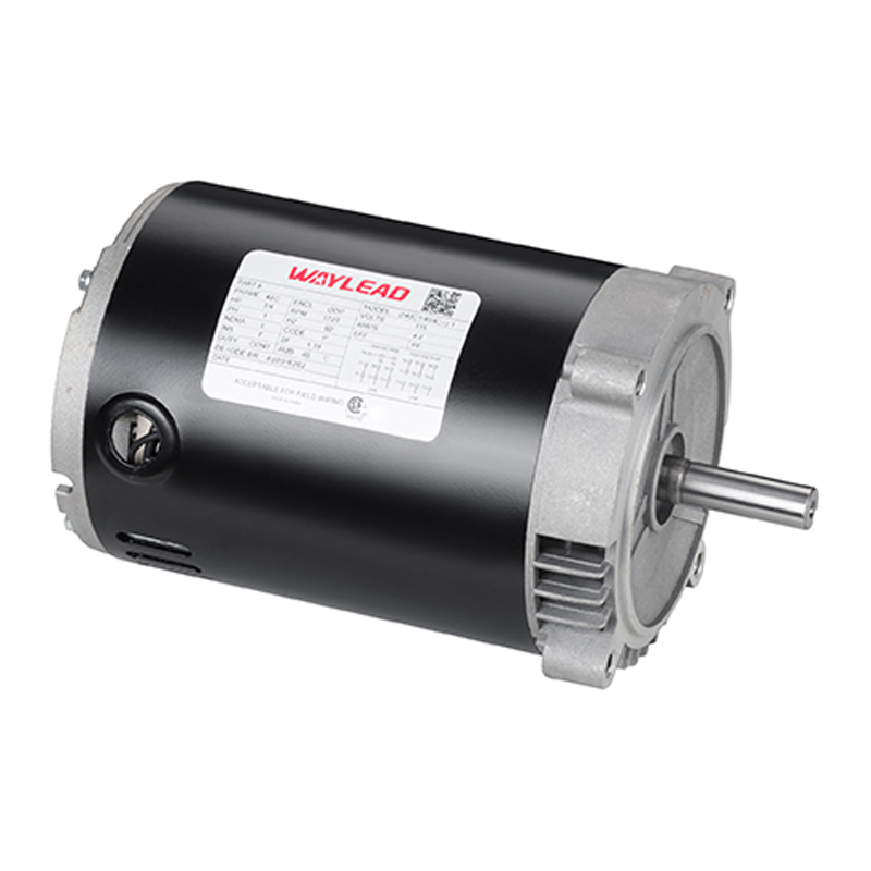 Una-Phase piscinae Spa Pump Motor